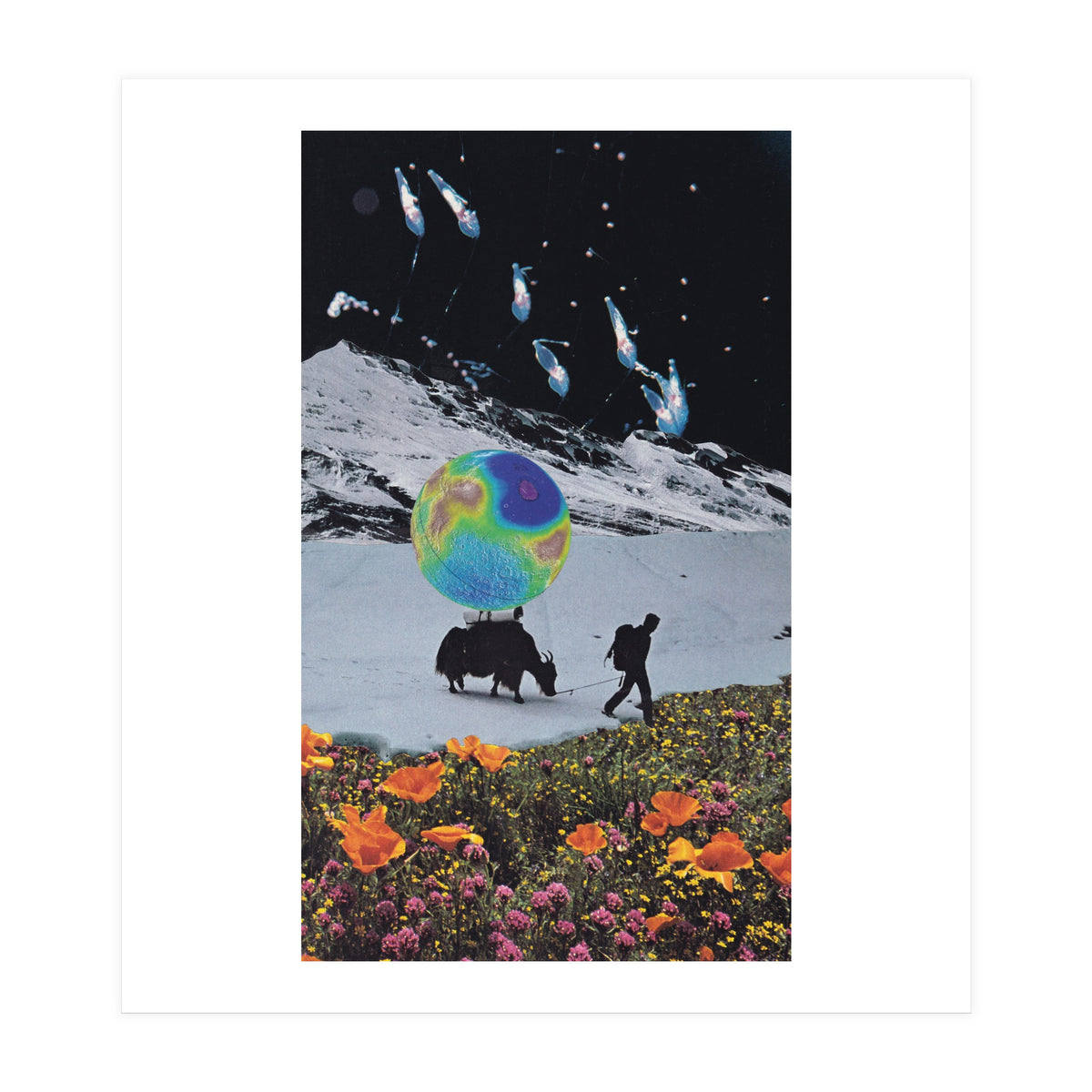 The Last Ice Age (Print Only)