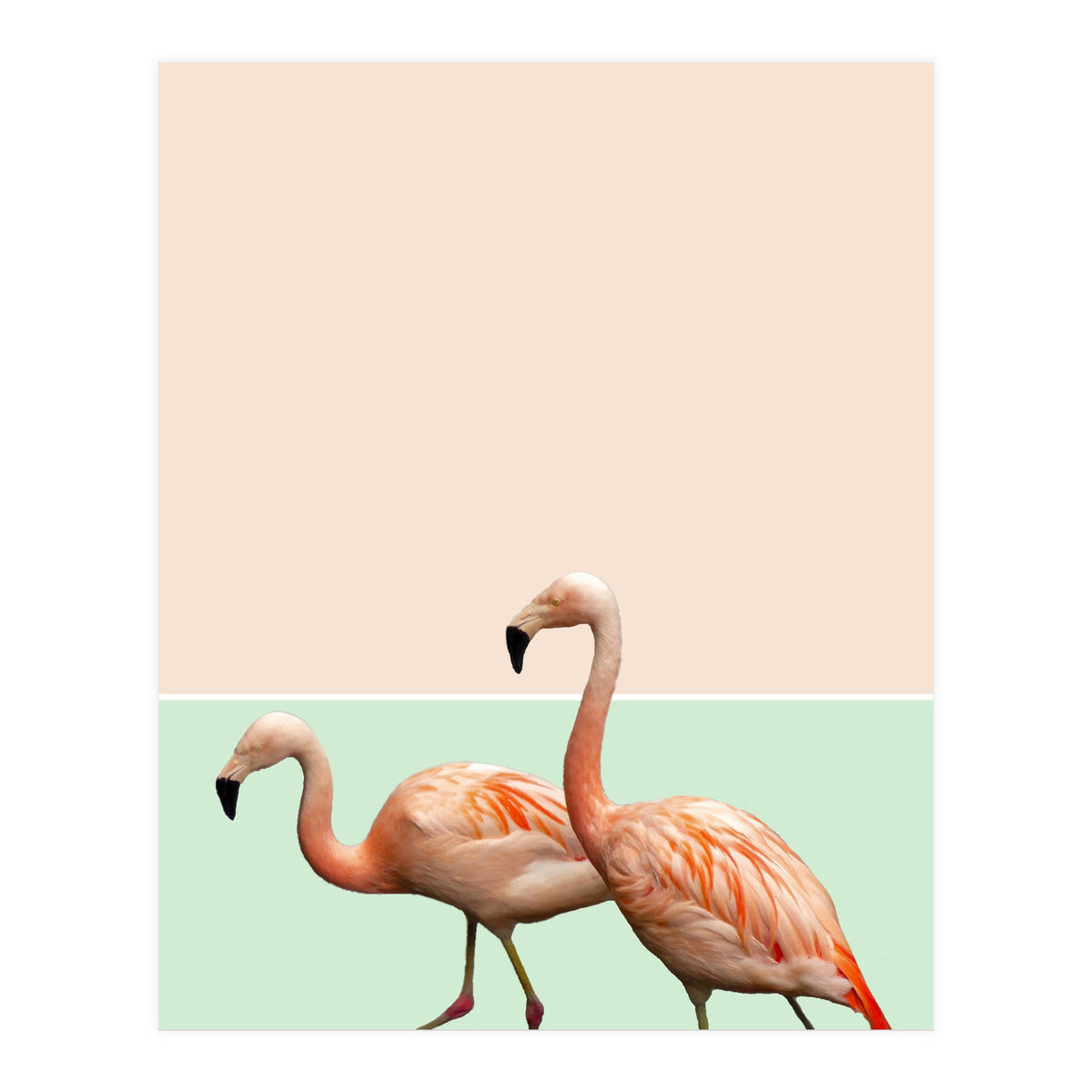 Flamingo Pastel Art (Print Only)