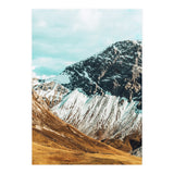 Carter (Print Only) thumbnail