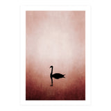 The Swan (Print Only) thumbnail