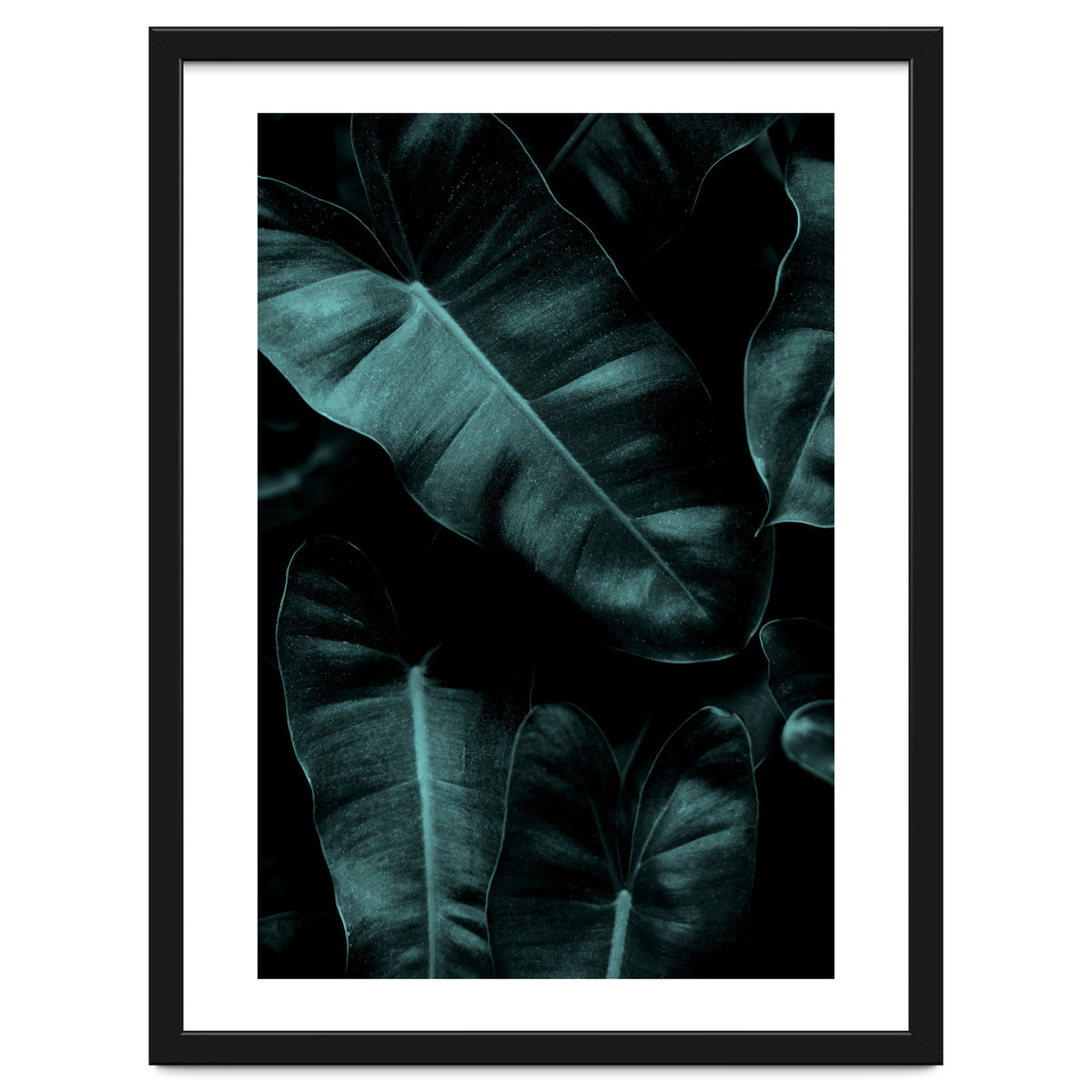 Dark Leafs