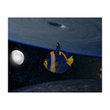 Fish fly (Print Only) thumbnail