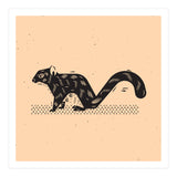 Squirrel (Print Only) thumbnail