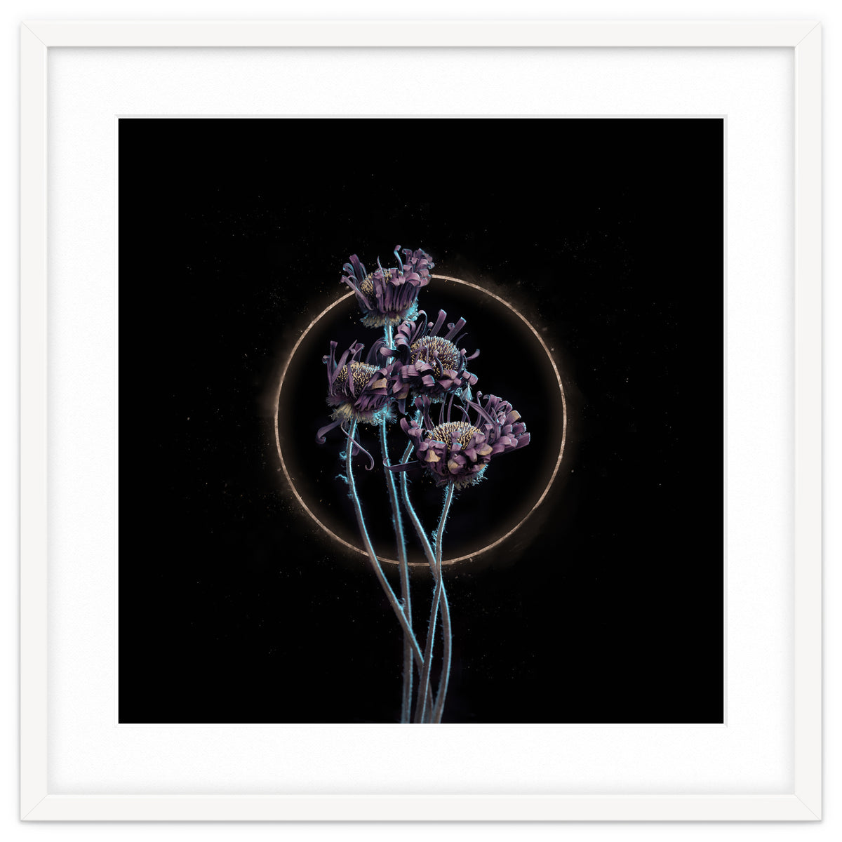 Candy-Coloured Mystery