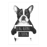 Being Normal Is Boring (Print Only) thumbnail
