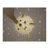 HONEYMOON (Print Only) thumbnail