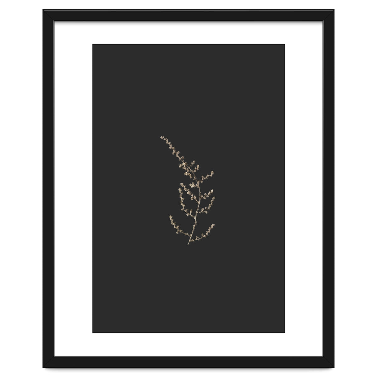 Delicate Golden Fynbos Botanicals on Black