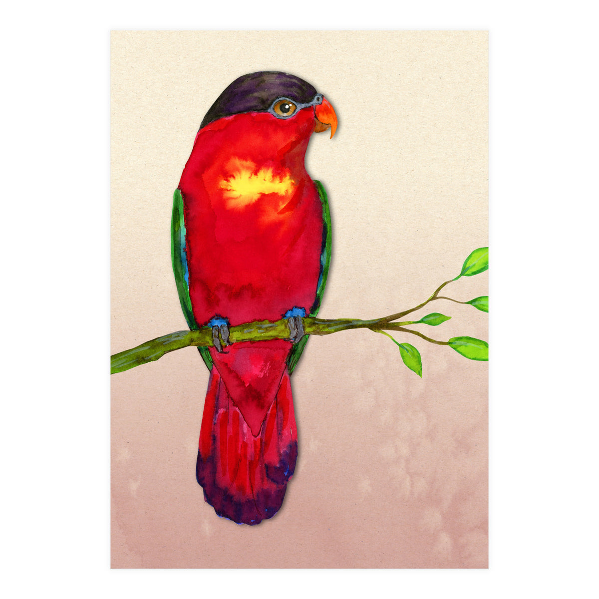 Purple-naped lory (Print Only)