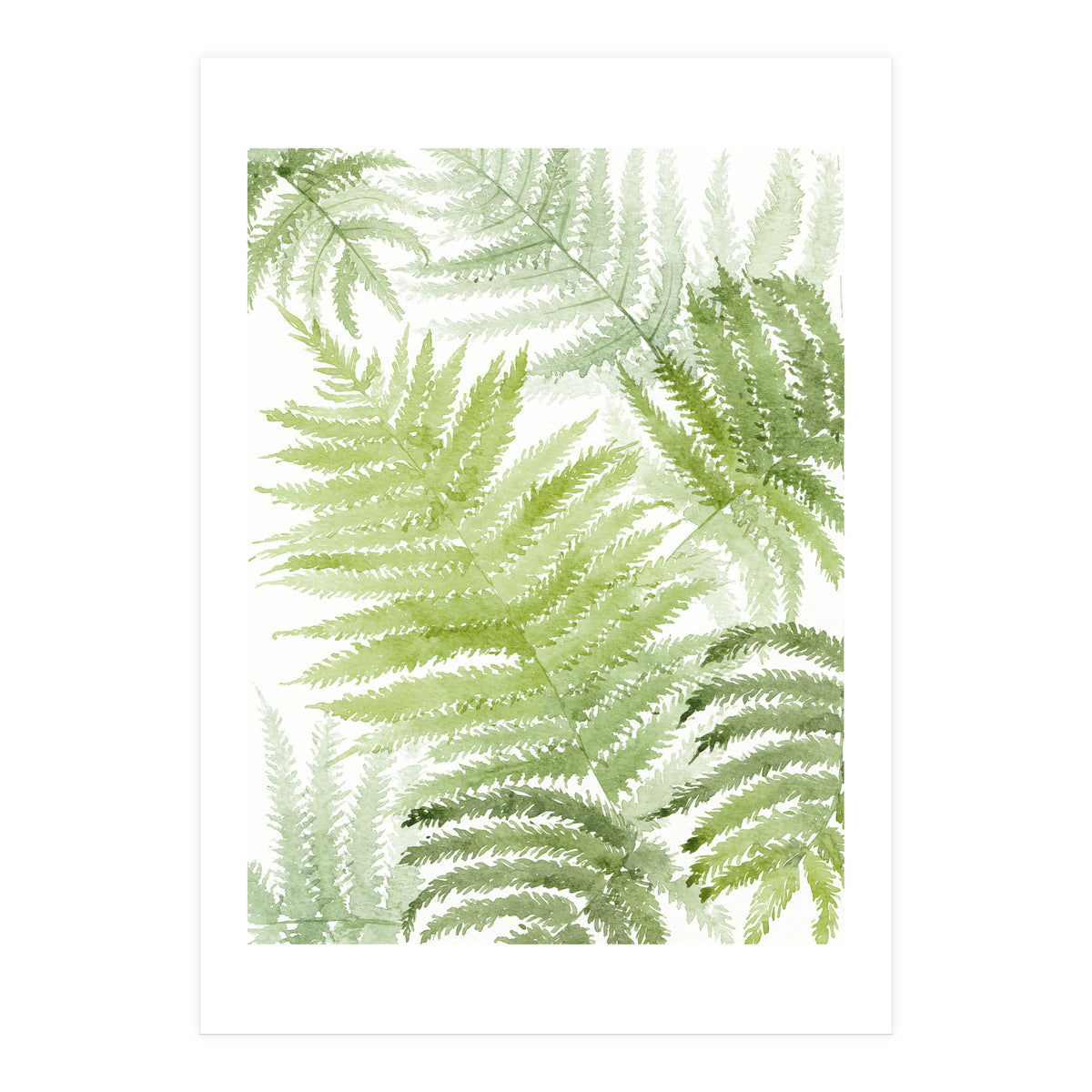 Samambaia  (Print Only)