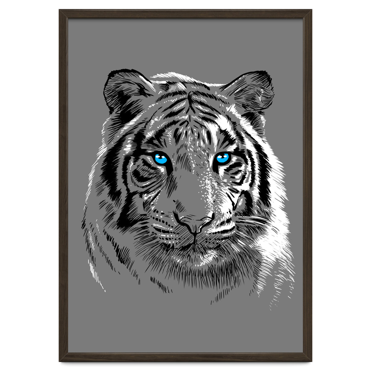 Sketch Tiger