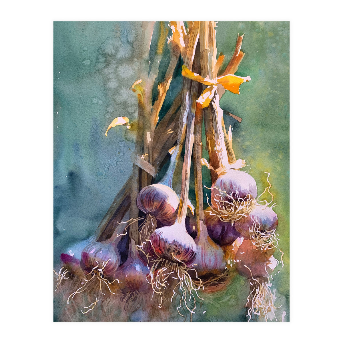 Still Life Garlic (Print Only)