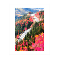 Valley of Pink Trees | Fantasy Pop of Color Forest Nature | Jungle Adventure Road Trip Pine (Print Only)