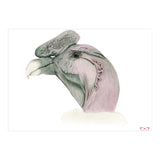 Andean condor (Print Only) thumbnail