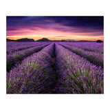 Mindfulness (Print Only) thumbnail