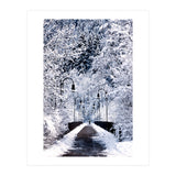 Snowy Bridge (Print Only) thumbnail