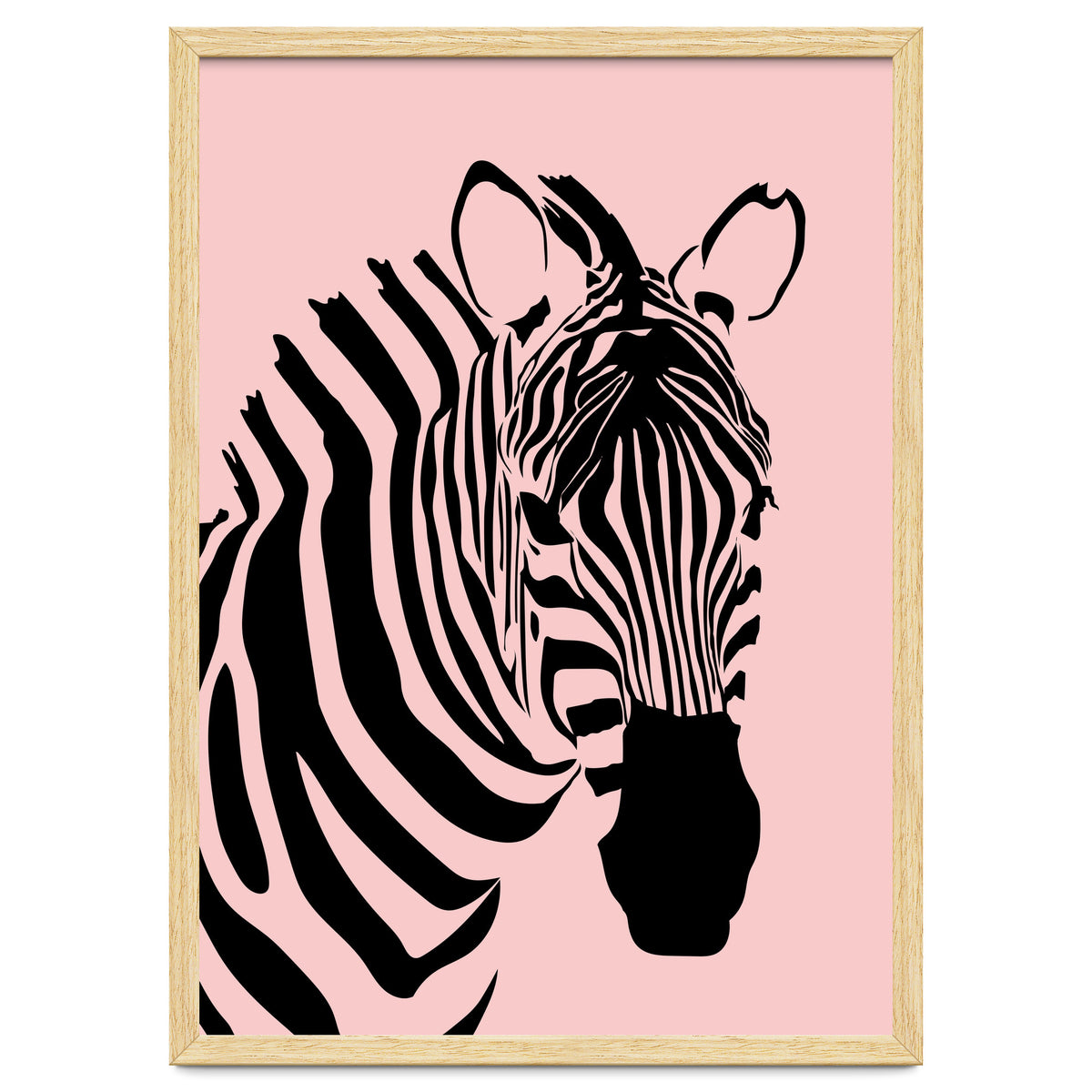 Zebra Stripes