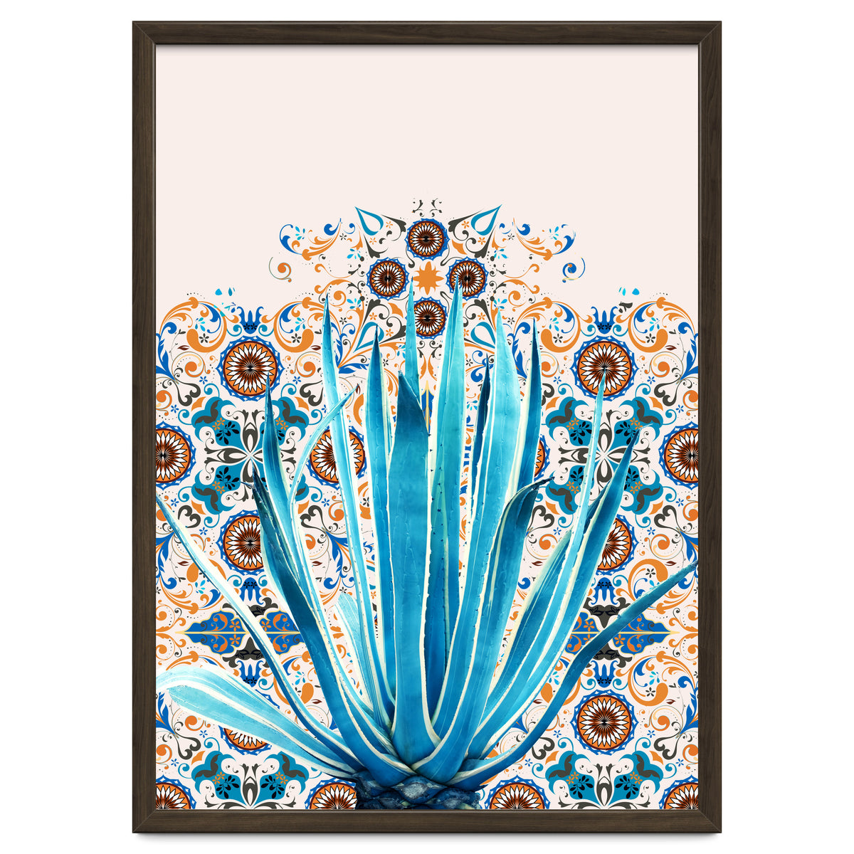 Cactus and Moroccan tiles