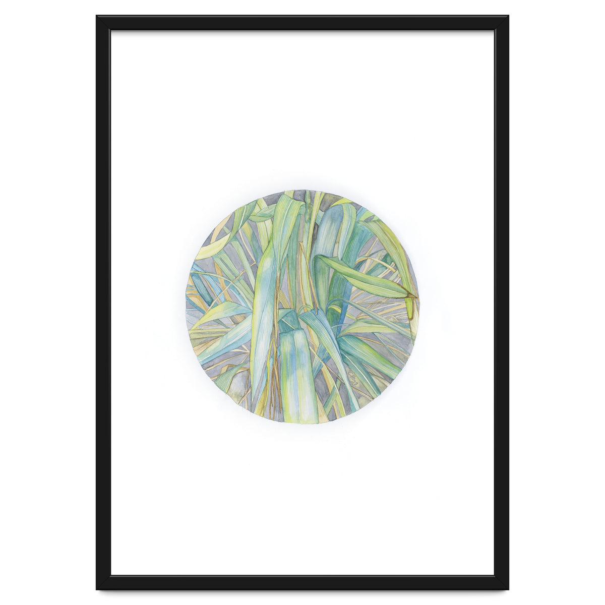 Grasses In The Late Summer Light