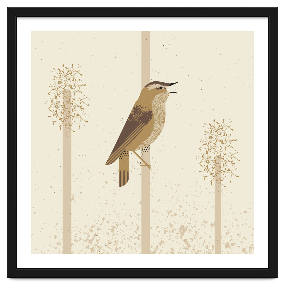 Sedge Warbler