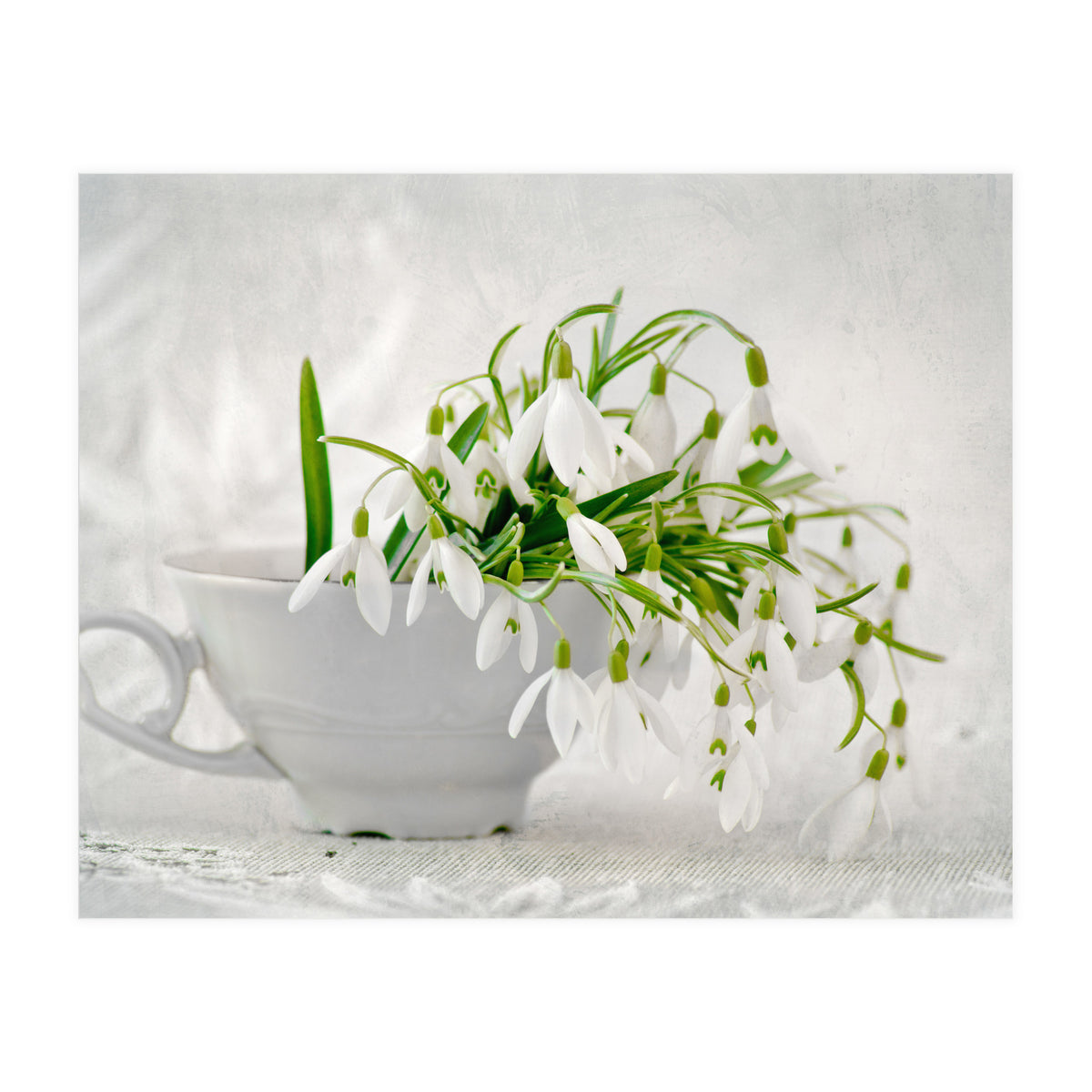 Snowflakes (Print Only)