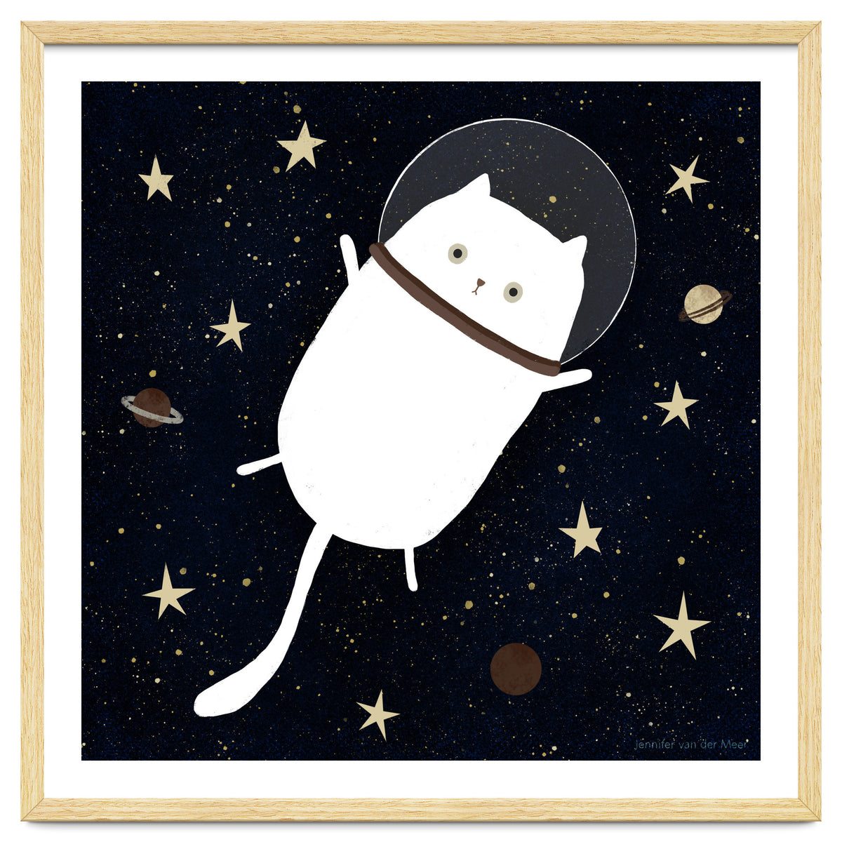 Cat 32: Cats in space!