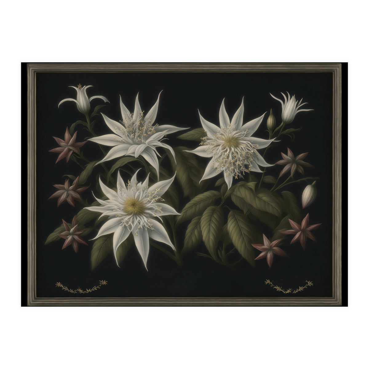 Edelweiss Vintage Illustration (Print Only)