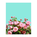 Blissful (Print Only) thumbnail