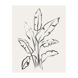 Banana Leafs Drawing (Print Only) thumbnail