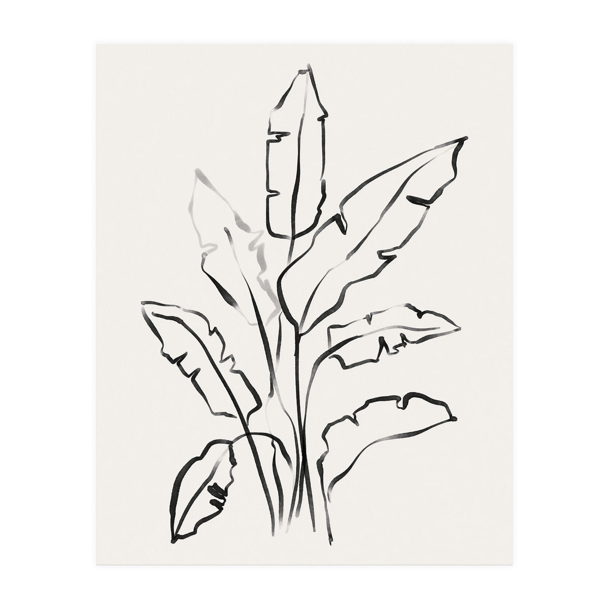 Banana Leafs Drawing (Print Only)