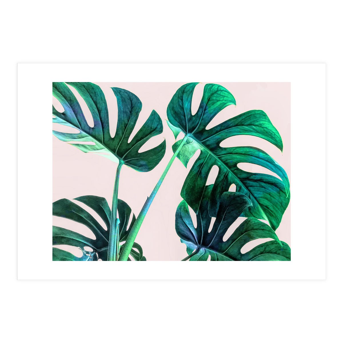 Wild Leaves (Print Only)