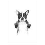 Censored Dog (Print Only) thumbnail