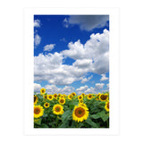Nature (Print Only) thumbnail