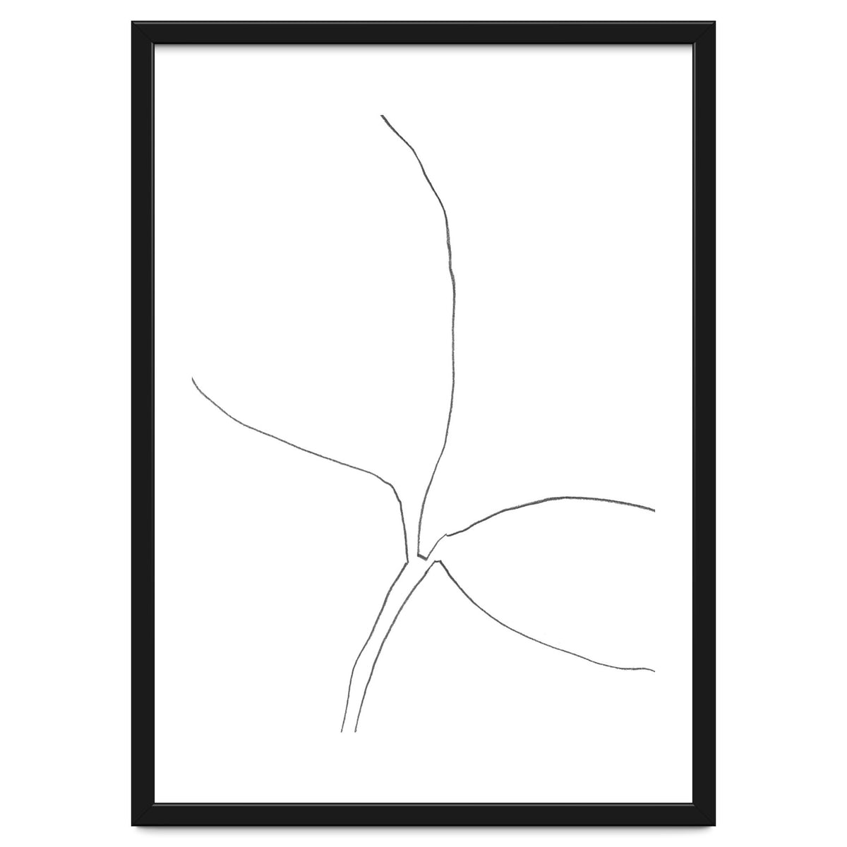 Seedling Leaning Right