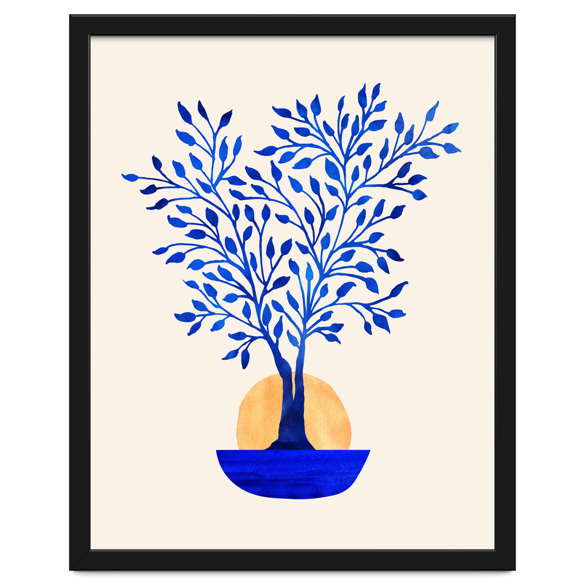 Indigo Ficus Sunrise