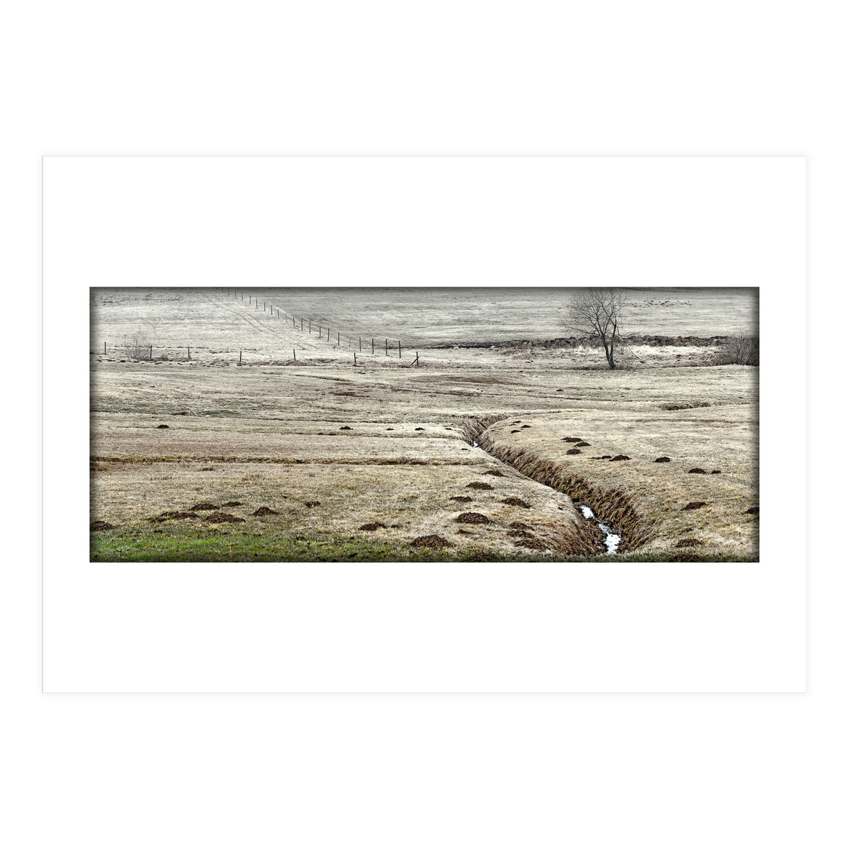 Wet meadows (Print Only)