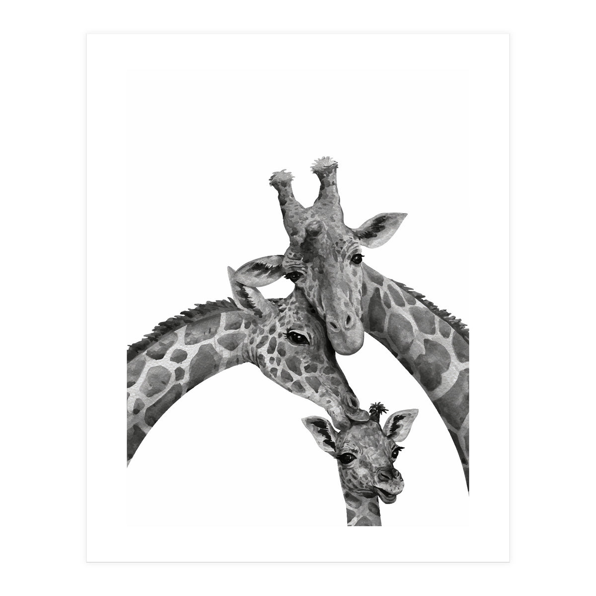 Giraffe Family (Print Only)