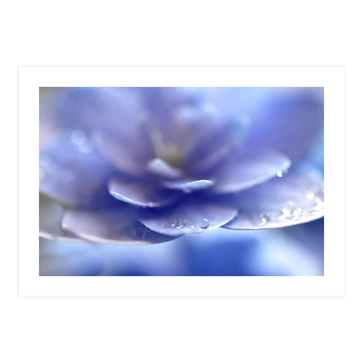 Enchantress (Print Only)