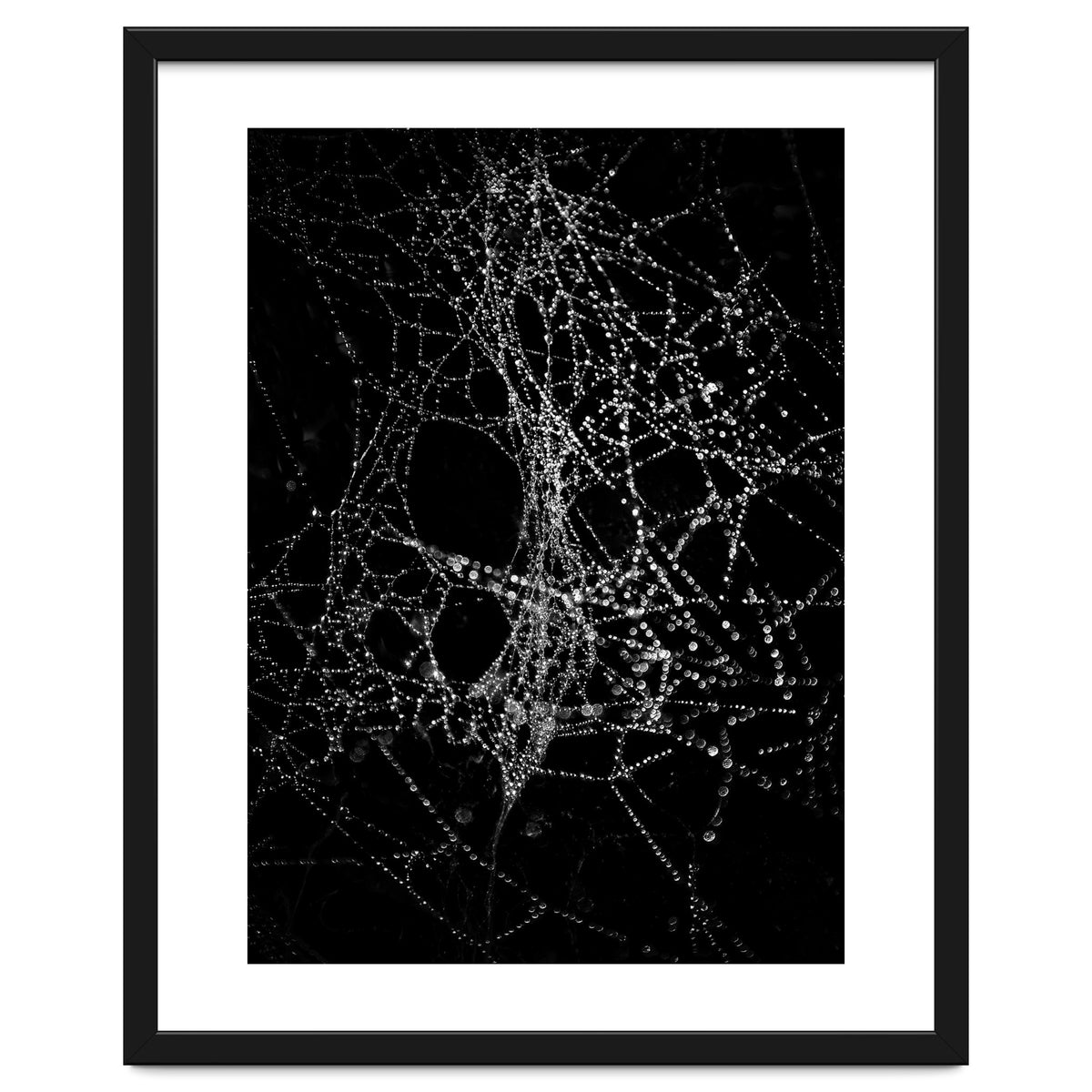 Spiderweb No 4