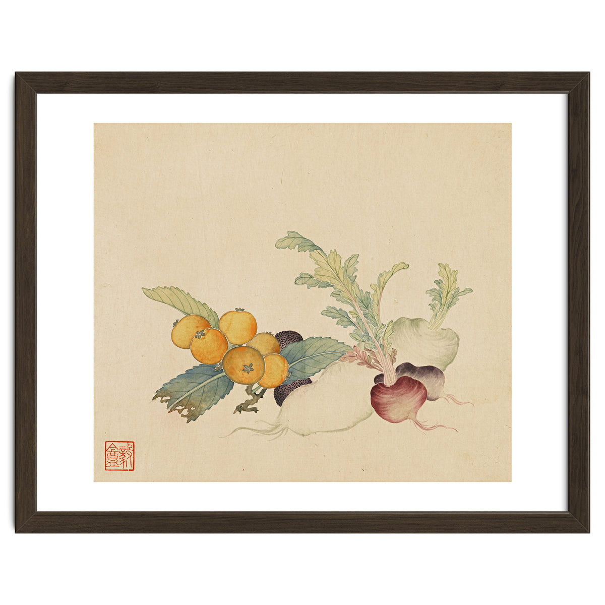 Wang Chengpi~flowers And Vegetables, Vegetables, Fruits, Loquat, White Radish, Carrot, Radish