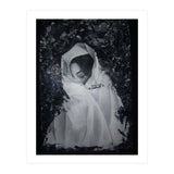 Peerless (Print Only) thumbnail