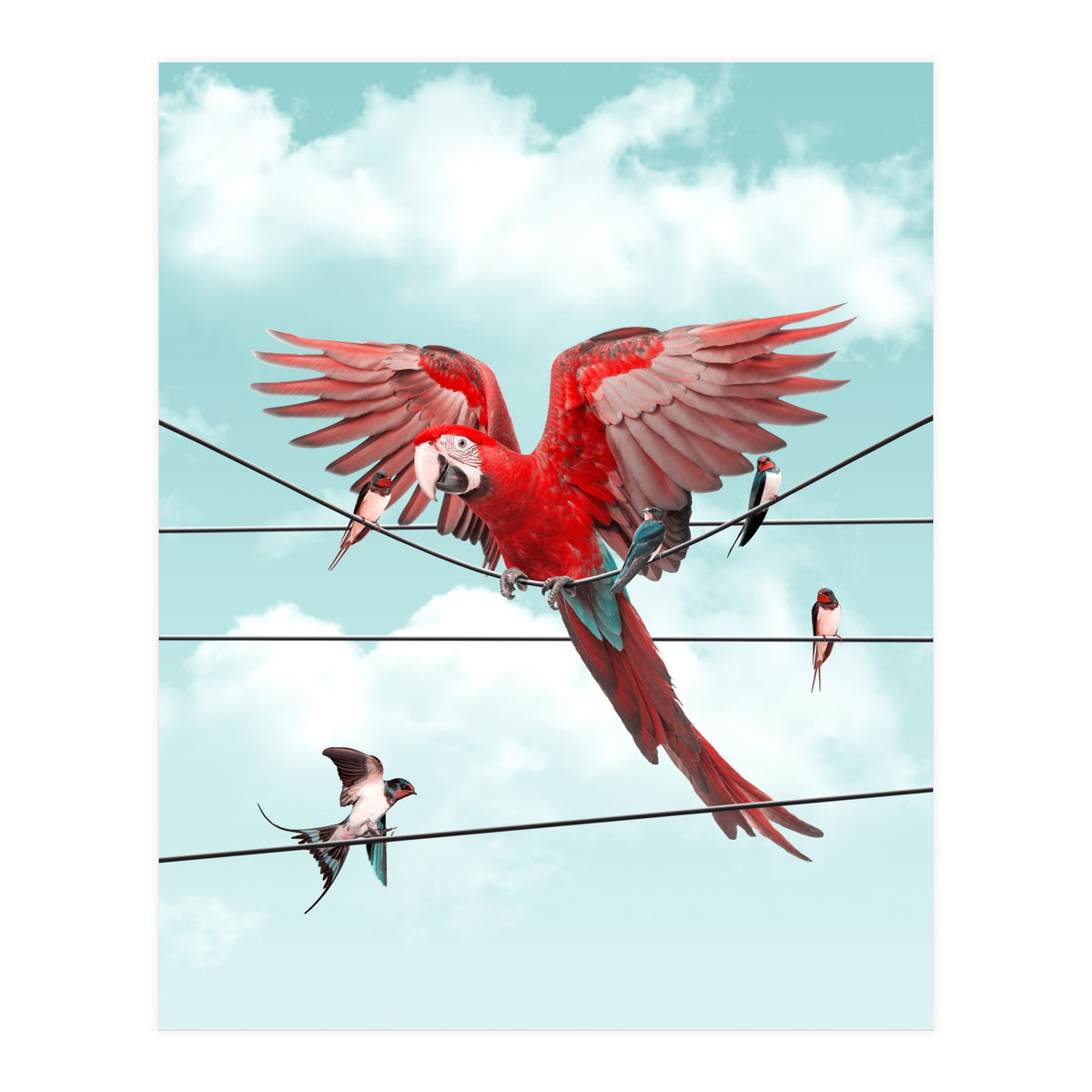 Colorful Stranger (Print Only)