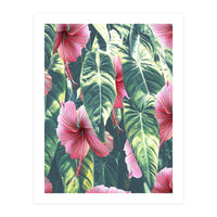 Wild Hibiscus (Print Only)