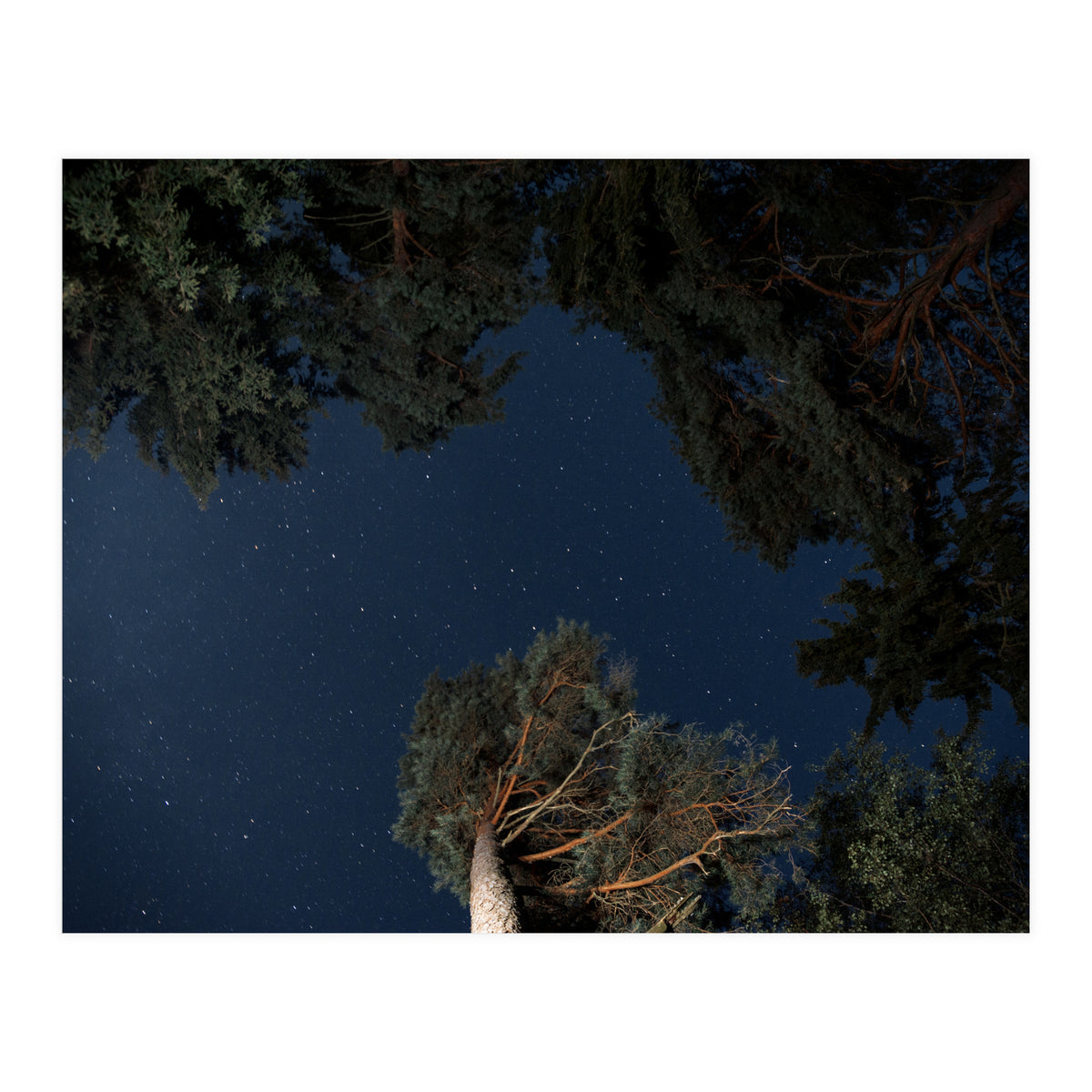 Sputnik Turntables (Print Only)