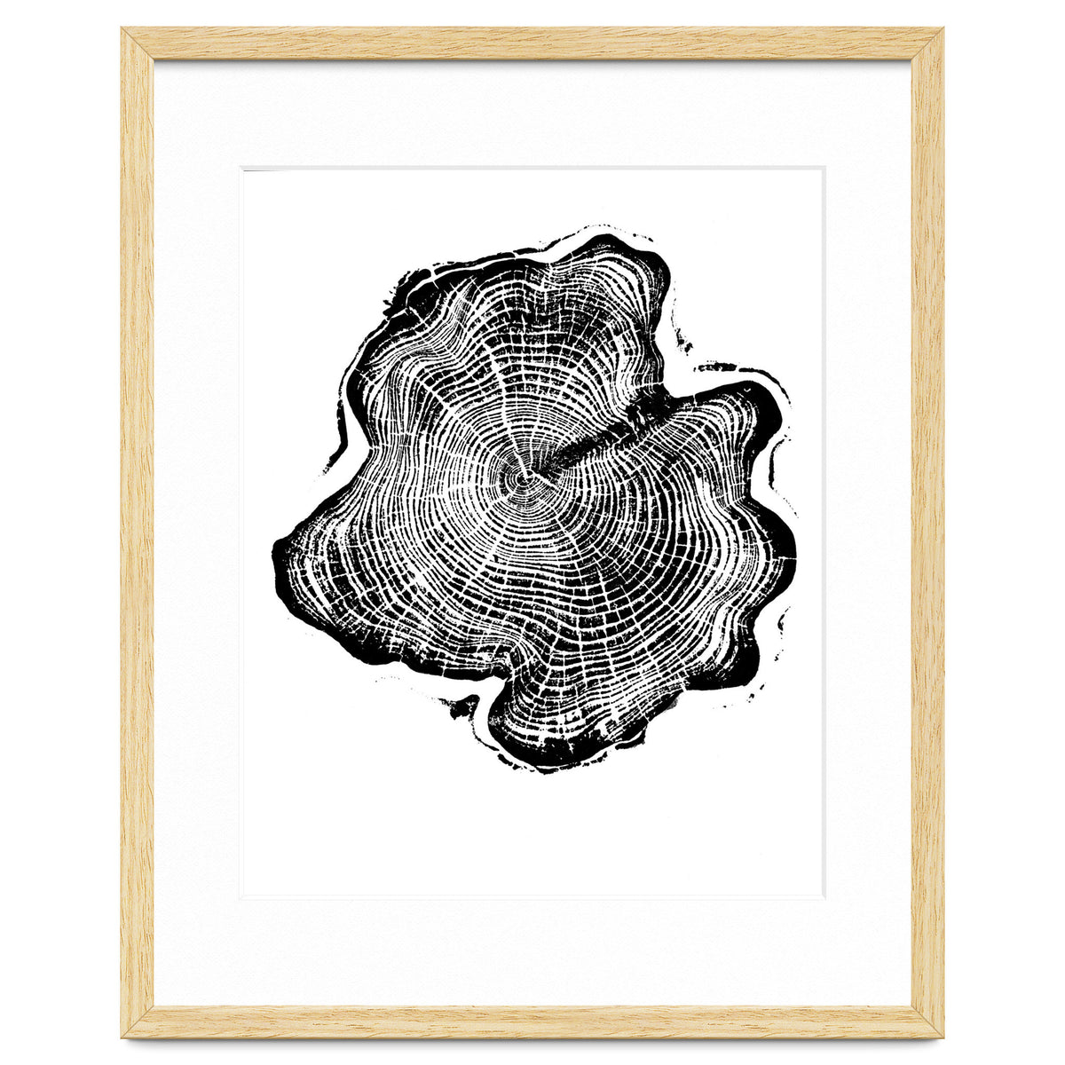 Alaskan Cypress, Tree Ring Art Print, Woodblock