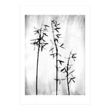 Hosta 3 (Print Only) thumbnail
