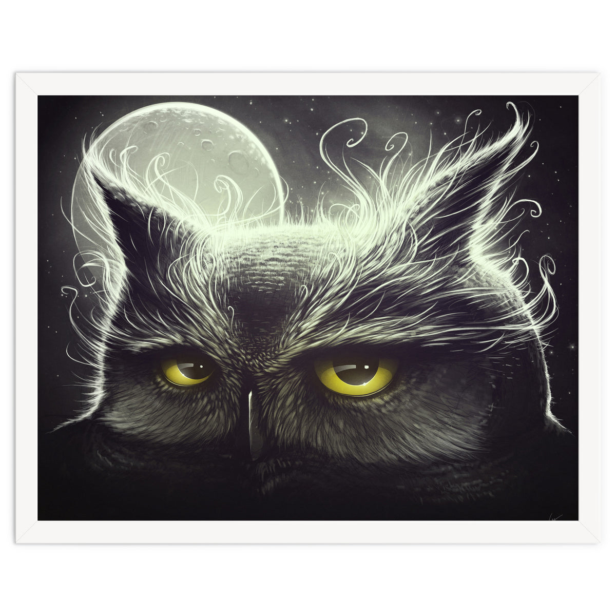 Owl And The Moon