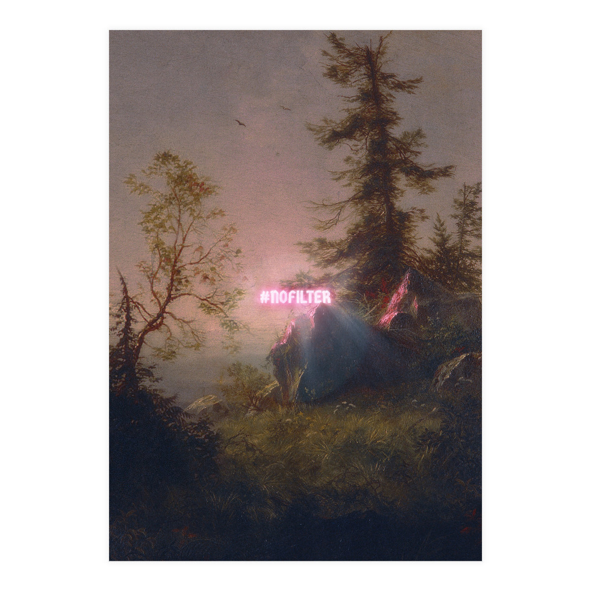 No Filter (Print Only)