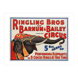 Ringling Bros & Barnum Bailey Circus Advertisement (Print Only) thumbnail