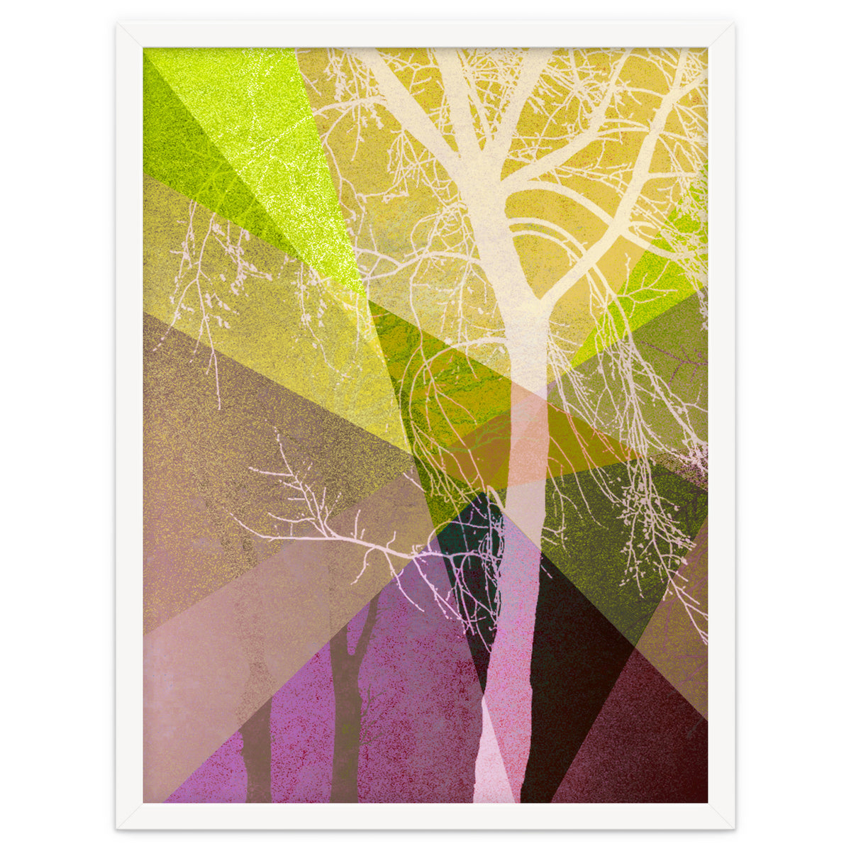 P22 A Trees And Triangles