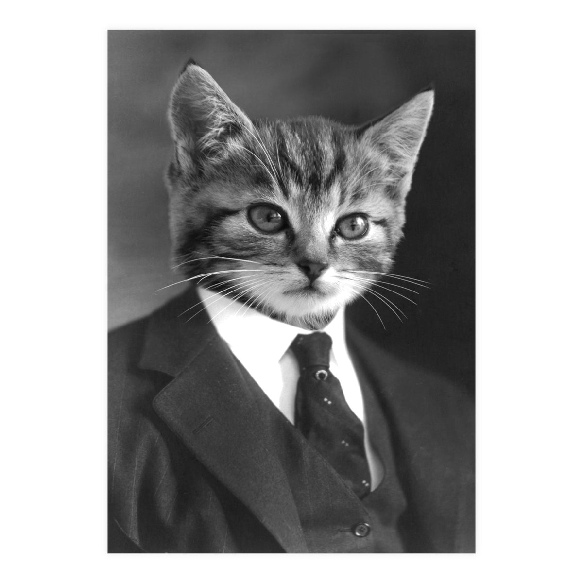 Gentleman Cat (Print Only)